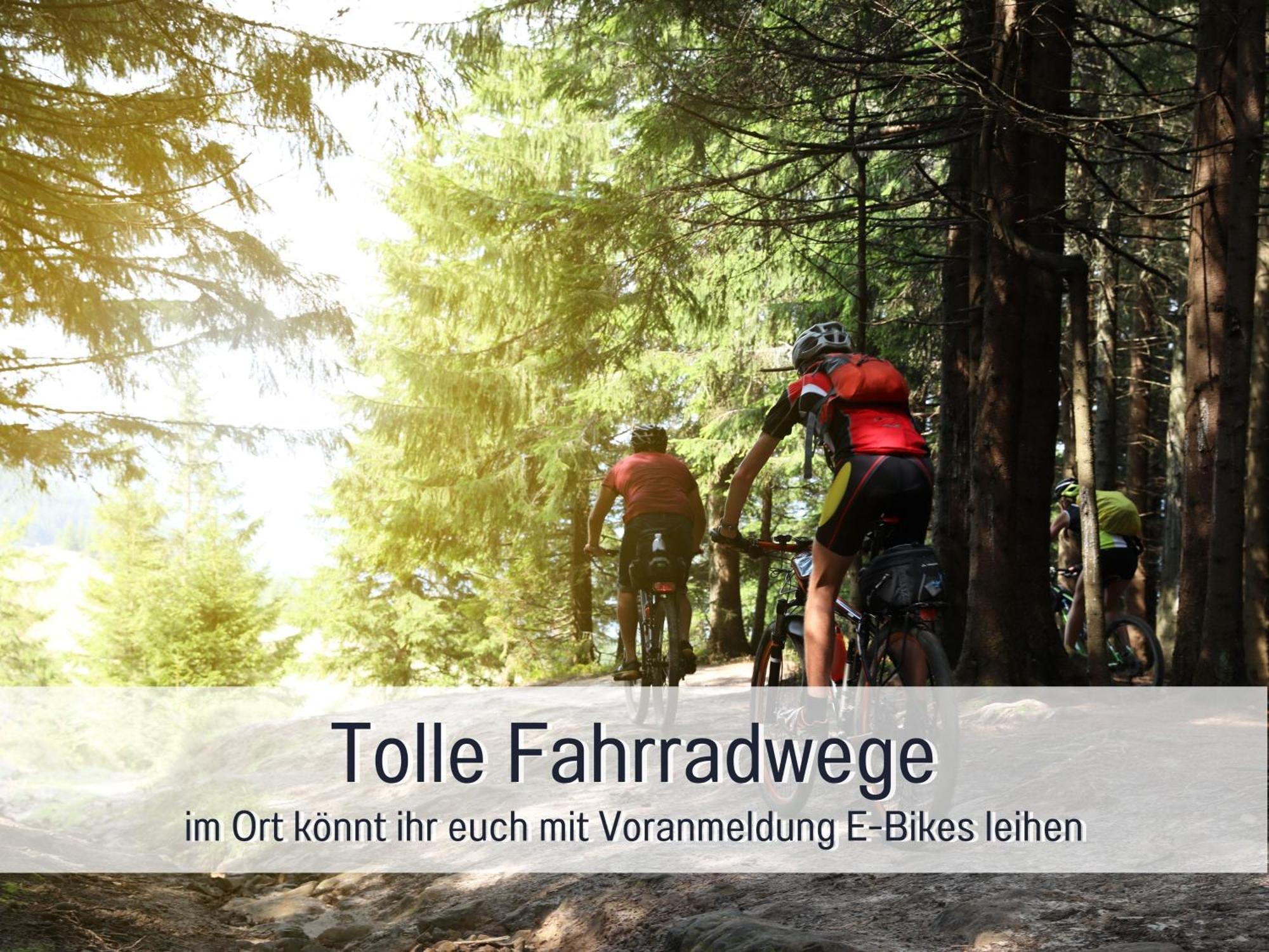Natur-Chalet Zum Nationalpark Franz Inkl. E-Auto Allenbach エクステリア 写真