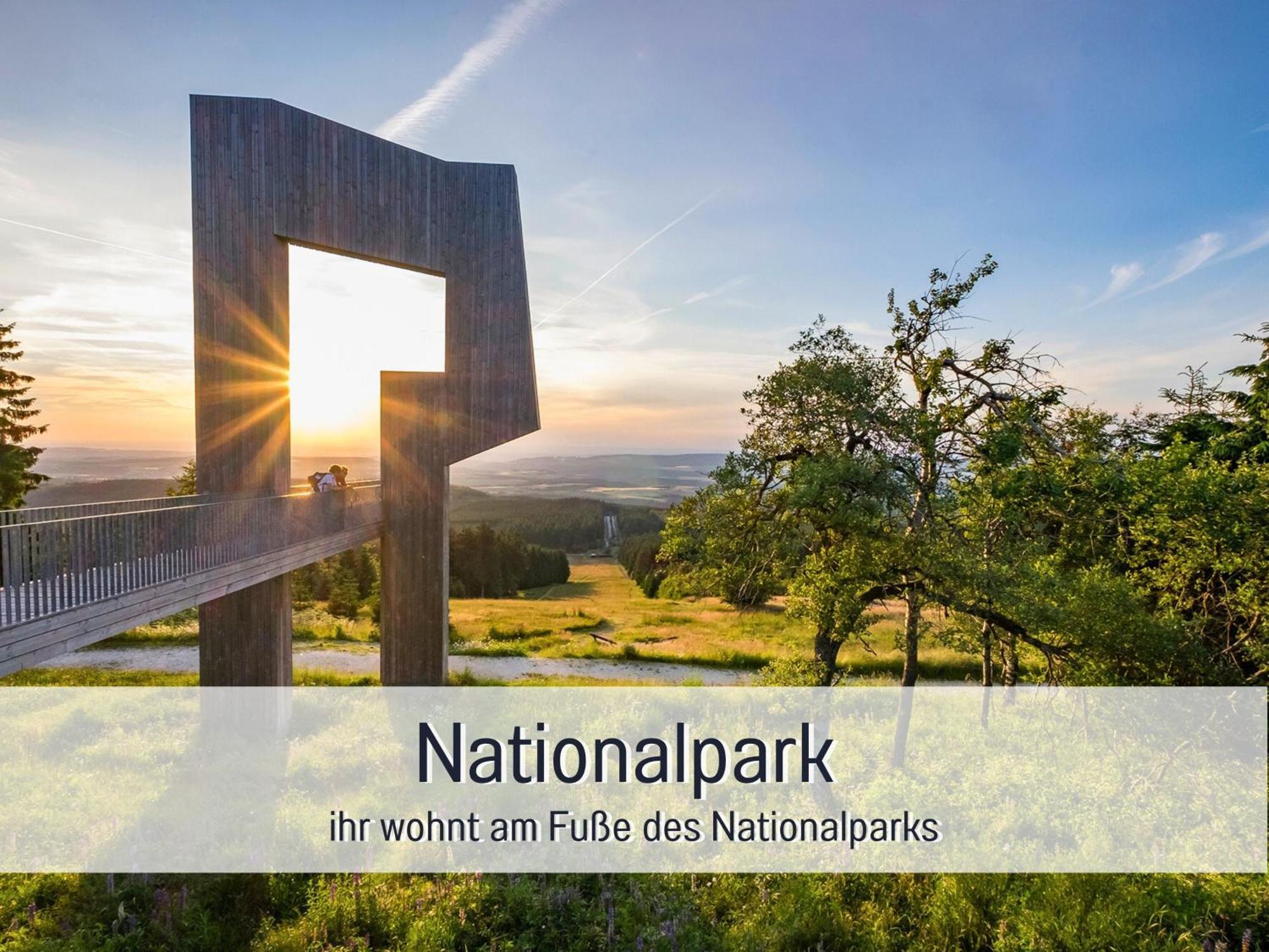 Natur-Chalet Zum Nationalpark Franz Inkl. E-Auto Allenbach エクステリア 写真